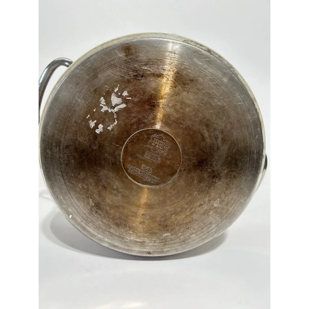 Princess House 5 Qt Stainless Steel Saucepan With Glass Lid & Pour Spouts